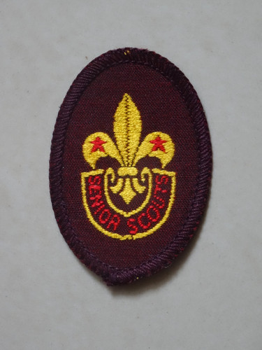 Senior scouts hat badge pre - senior,