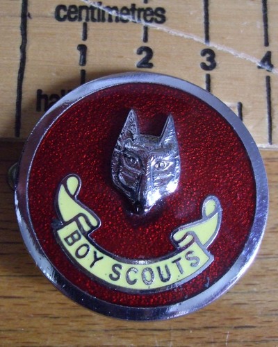 Boy scouts wolf cubs - scouts,