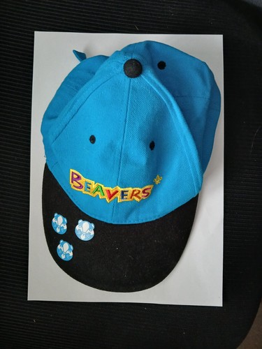 Beavers scouts official kids - scouts,