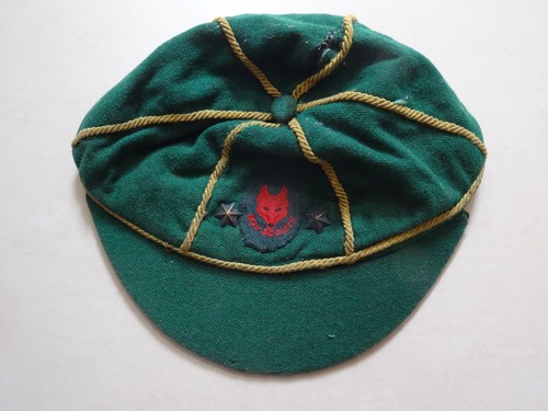 Wolf cub scout - cub,