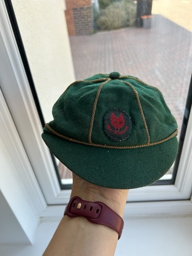 Vintage boy scouts wolf - vintage, cub