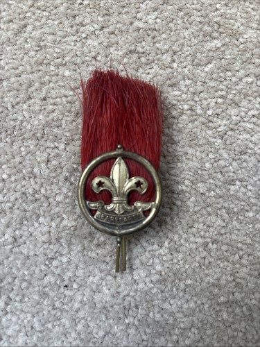 Boy scouts assistant - boy,