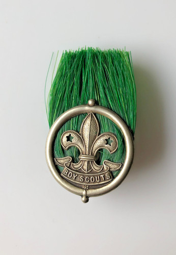 Boy scouts assistant - boy,