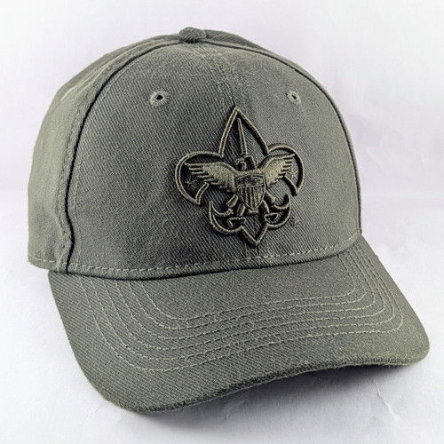 Boy scouts america bsa - boy, of