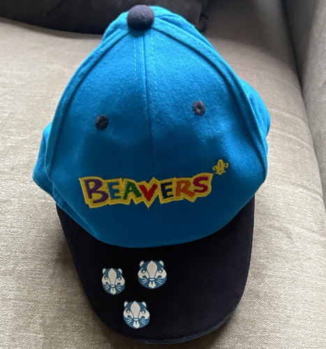 Beavers scouts blue - blue, &