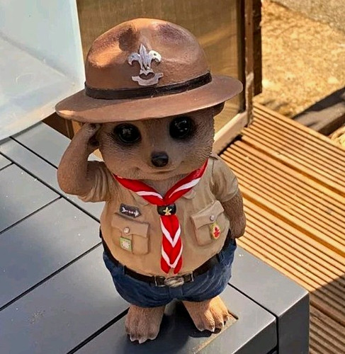 Meerkat scout resin garden - resin,