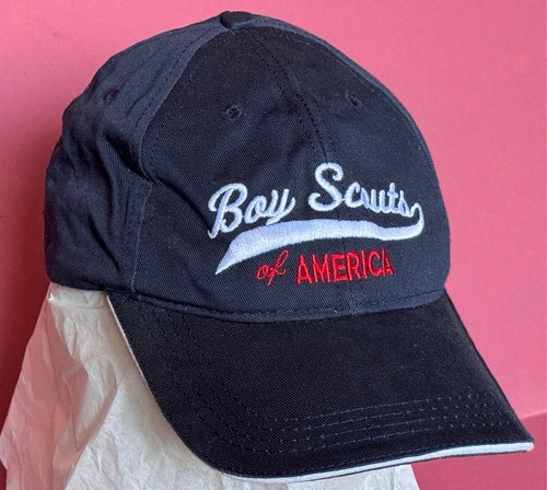 Boy scouts america baseball - boy,